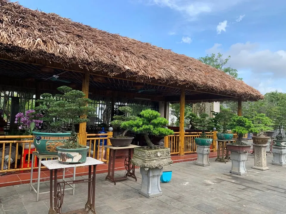 Chỗ ngồi cà phê sáng theo phong cách mới – ảnh 1