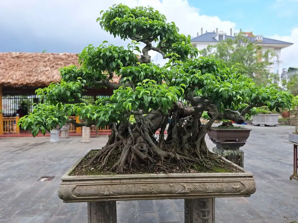 Chỗ ngồi cà phê sáng theo phong cách mới – ảnh 8