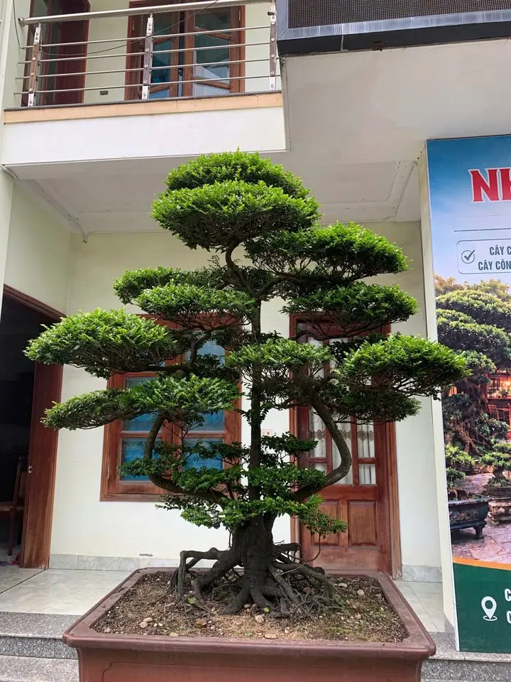 Chỗ ngồi cà phê sáng theo phong cách mới – ảnh 9