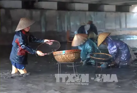 Cẩm Phả xưa cứ mưa là có tiền, thậm trí là rất nhiều tiền