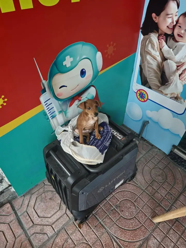 " Có bạn bị va chạm ở cổng tiemchung long châu đối diện cơ khí trung tâm, vc mình chỉ kịp đưa bạn lên ô tô… – ảnh 1