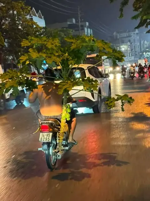 Áp thấp mạnh nhất Cẩm Phả