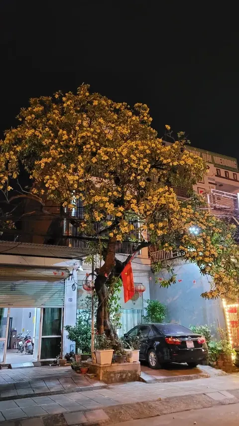 Đề nghị Cẩm Phả giữ nguyên thời tiết như thế nào!