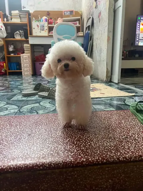 Cảm phiền ai đi qua giúp em một tay với ạ