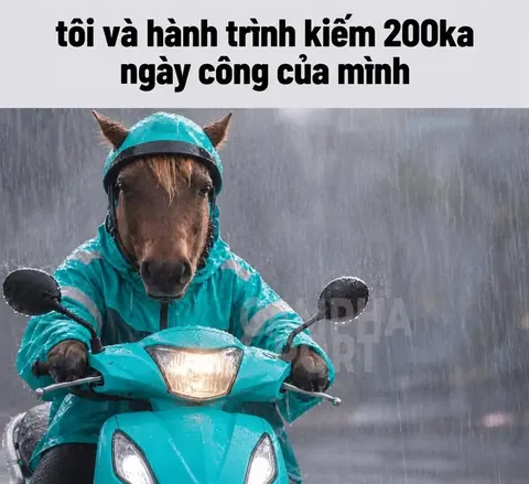 "Mưa gió chỉ ướt quần ướt áo chứ không ướt xiền được"