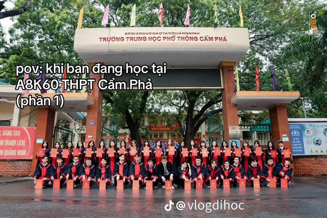 Sao ai cũng đăng bài này nhỉ, đến mức trend luôn – ảnh 4